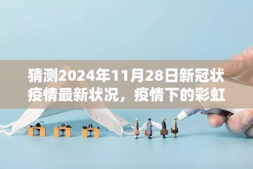 疫情下的彩虹桥，2024年11月28日新冠状疫情预测与温馨日常观察