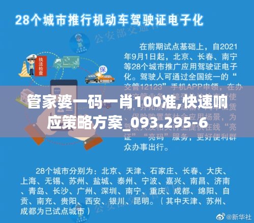 管家婆一码一肖100准,快速响应策略方案_093.295-6