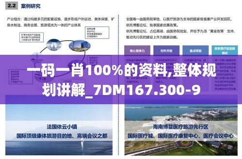 一码一肖100%的资料,整体规划讲解_7DM167.300-9