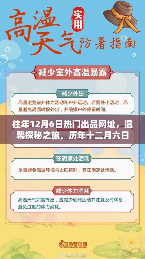 历年十二月六日神秘网址揭秘，友情故事与温馨探秘之旅