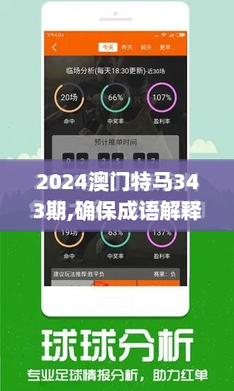 2024澳门特马343期,确保成语解释落实_XP3.787
