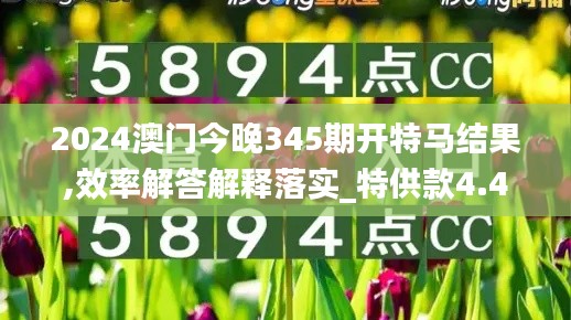 2024澳门今晚345期开特马结果,效率解答解释落实_特供款4.419