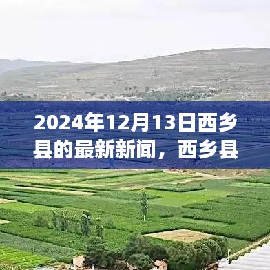西乡县最新新闻动态，聚焦2024年12月13日多方观点与个人立场
