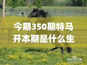 今期350期特马开本期是什么生肖,全面解答解释落实_纪念版7.429