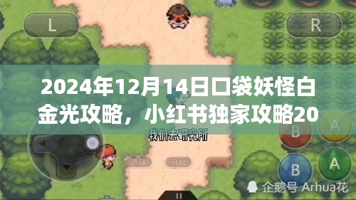 小红书独家攻略