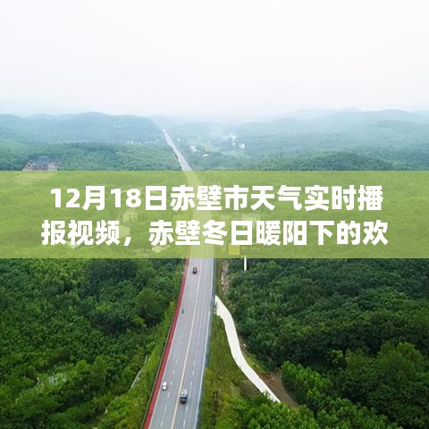 温情故事回顾