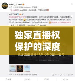 独家直播权保护的深度探究
