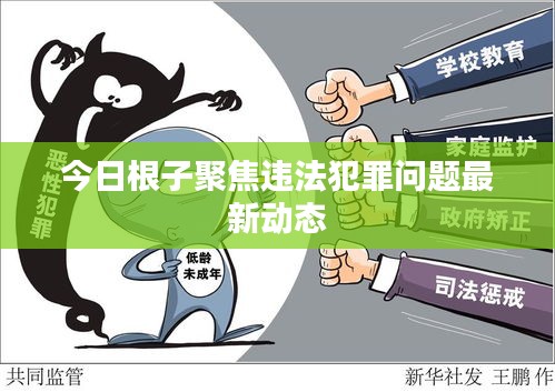 今日根子聚焦违法犯罪问题最新动态