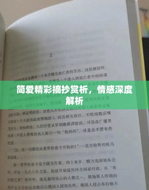 简爱精彩摘抄赏析，情感深度解析