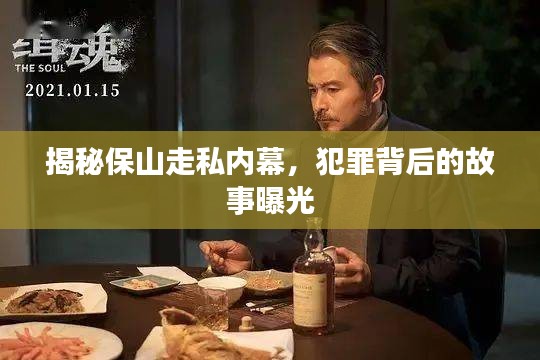 揭秘保山走私内幕，犯罪背后的故事曝光