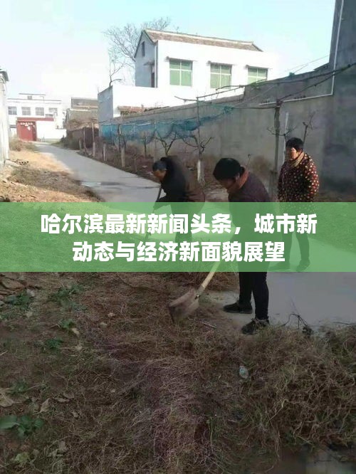 哈尔滨最新新闻头条，城市新动态与经济新面貌展望