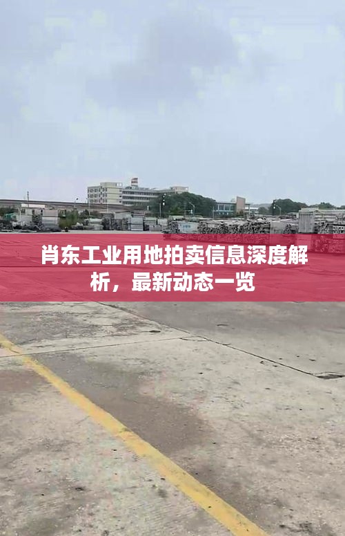 肖东工业用地拍卖信息深度解析，最新动态一览