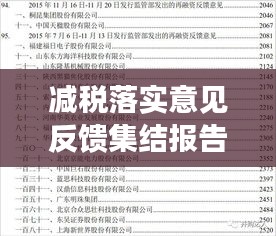 减税落实意见反馈集结报告，深度解析与建议汇总
