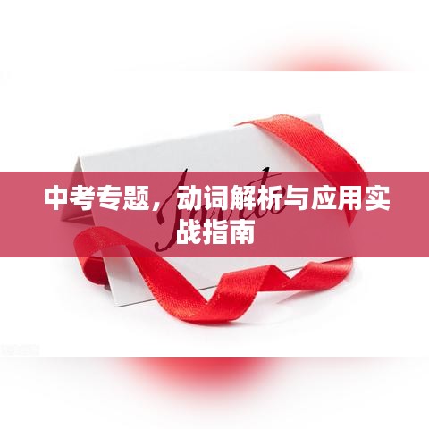 中考专题，动词解析与应用实战指南