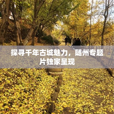 探寻千年古城魅力，随州专题片独家呈现