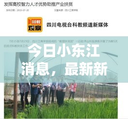 今日小东江消息，最新新闻动态报道
