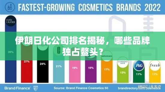 伊朗日化公司排名揭秘，哪些品牌独占鳌头？