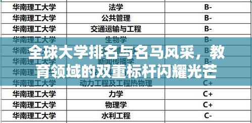全球大学排名与名马风采，教育领域的双重标杆闪耀光芒