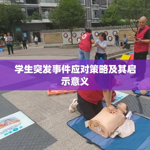 学生突发事件应对策略及其启示意义