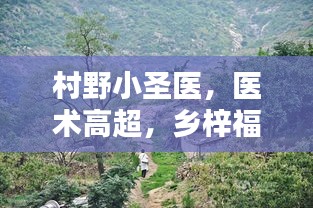 村野小圣医，医术高超，乡梓福泽无限