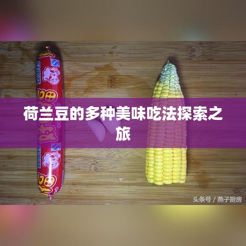 荷兰豆的多种美味吃法探索之旅