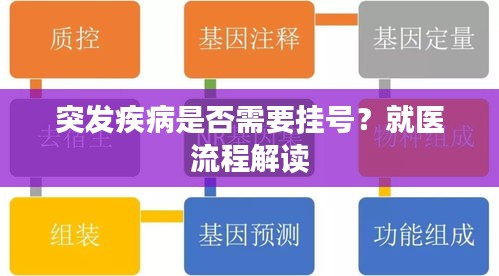 突发疾病是否需要挂号？就医流程解读