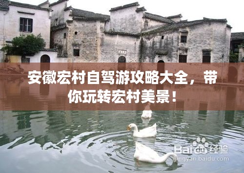 怀真抱素