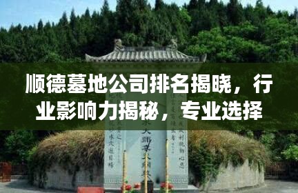 瑞雪飞舞