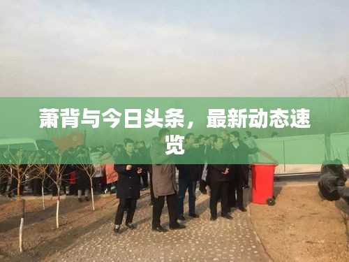 凿壁偷光