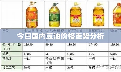 洵属可贵