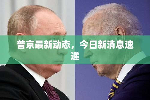 百尺无枝