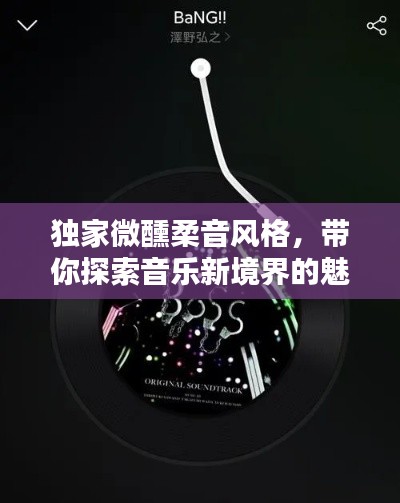 鸟云之阵