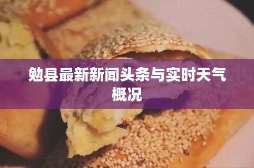 勉县最新新闻头条与实时天气概况