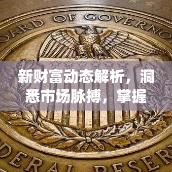新财富动态解析，洞悉市场脉搏，掌握财富先机最新消息查询
