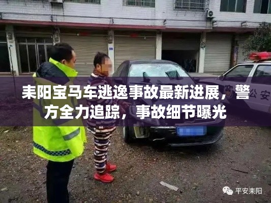 耒阳宝马车逃逸事故最新进展，警方全力追踪，事故细节曝光
