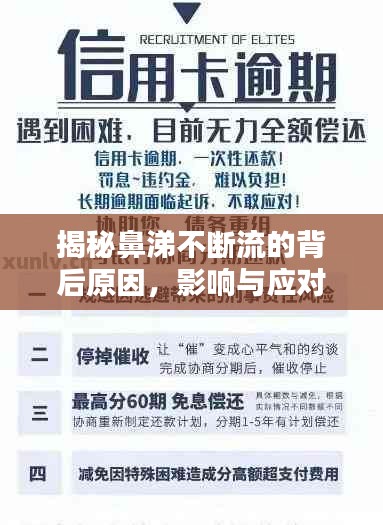 不求甚解