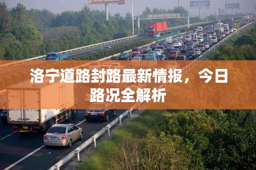 洛宁道路封路最新情报，今日路况全解析