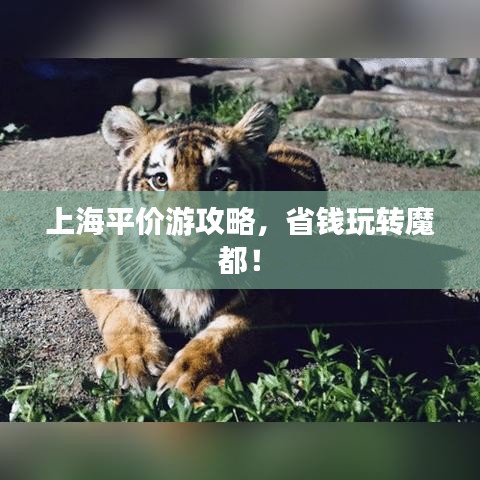 上海平价游攻略，省钱玩转魔都！
