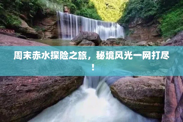 丢三落四