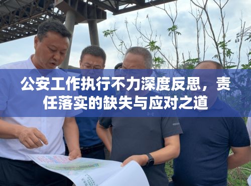 公安工作执行不力深度反思，责任落实的缺失与应对之道