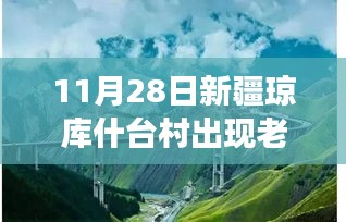 新疆琼库什台村老虎传闻揭秘，探险之旅探寻真实与神话的边界