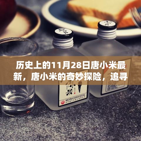 唐小米的奇妙探险之旅，追寻自然美景与内心平和的魔法（11月28日最新）