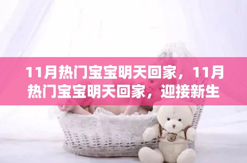 迎接新生命的喜悦与准备，热门宝宝即将回家！