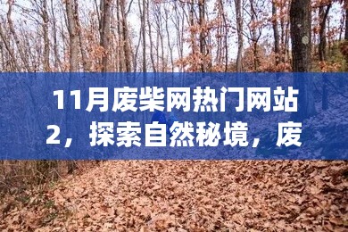 两袖清风 第3页