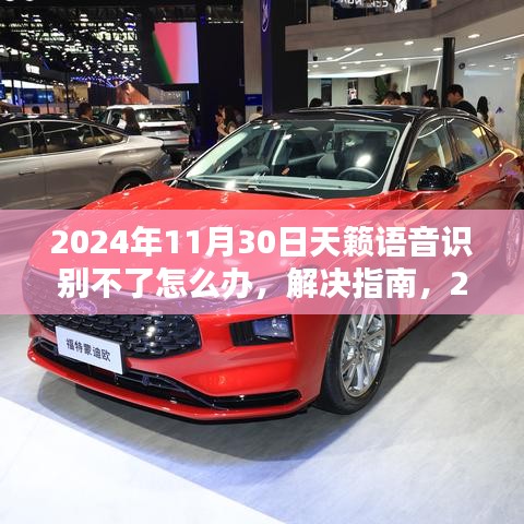 解决指南，天籁语音识别故障排查与修复（适用于2024年11月）