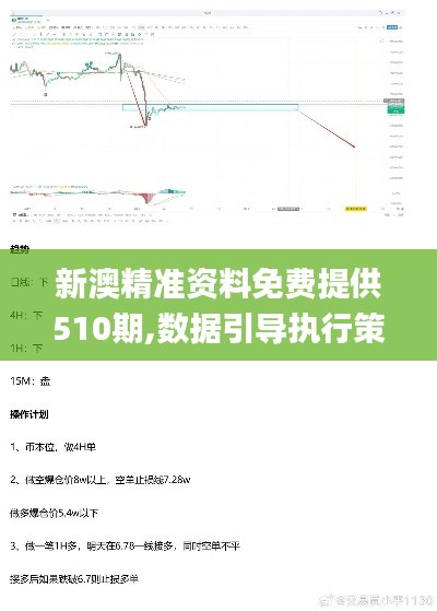 新澳精准资料免费提供510期,数据引导执行策略_RWF97.426科技版