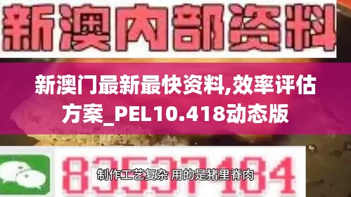 联系我们 第260页