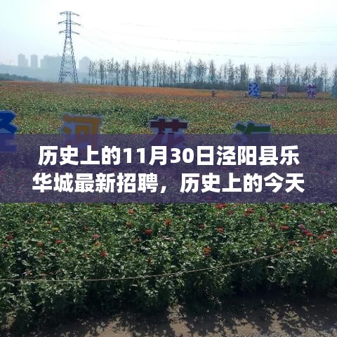 热门游戏 第251页