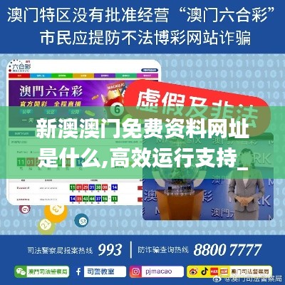 新澳澳门免费资料网址是什么,高效运行支持_TCJ82.286豪华款