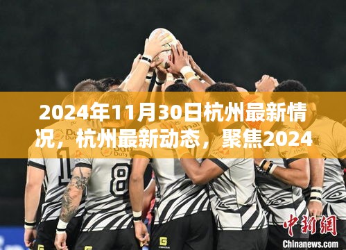 2024年11月30日杭州新面貌，最新动态与全方位聚焦